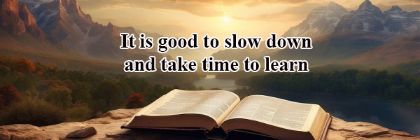 Learn the New Testament